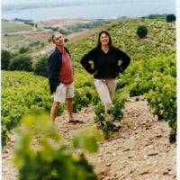 Movie Wine from the Heart