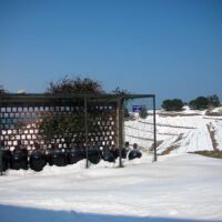 Hiver 2010