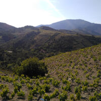 à Banyuls