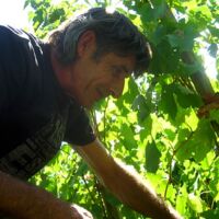 Vendanges 2012