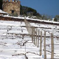 Hiver 2013