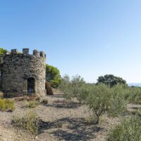 gardienne du vignoble