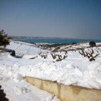 Hiver 2010
