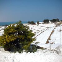 hiver 2010