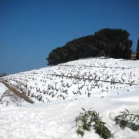 Hiver 2010